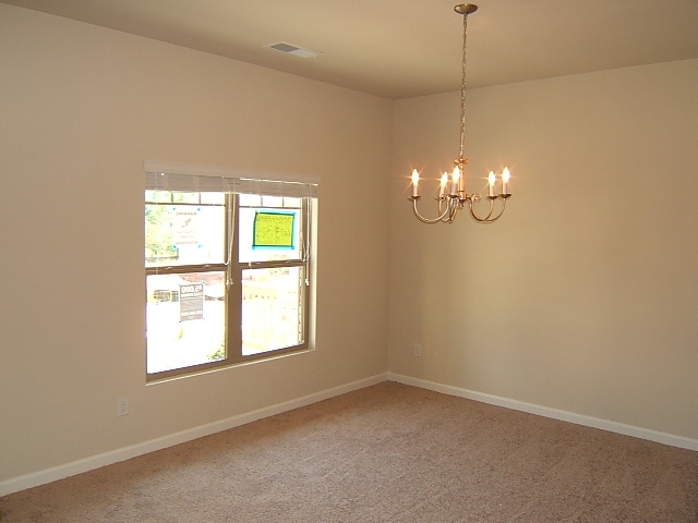 306 Hillcrest Ct, Hampton, GA 30228 photo 20