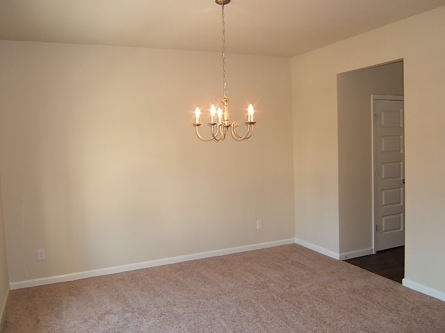 306 Hillcrest Ct, Hampton, GA 30228 photo 19