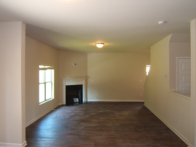 306 Hillcrest Ct, Hampton, GA 30228 photo 14