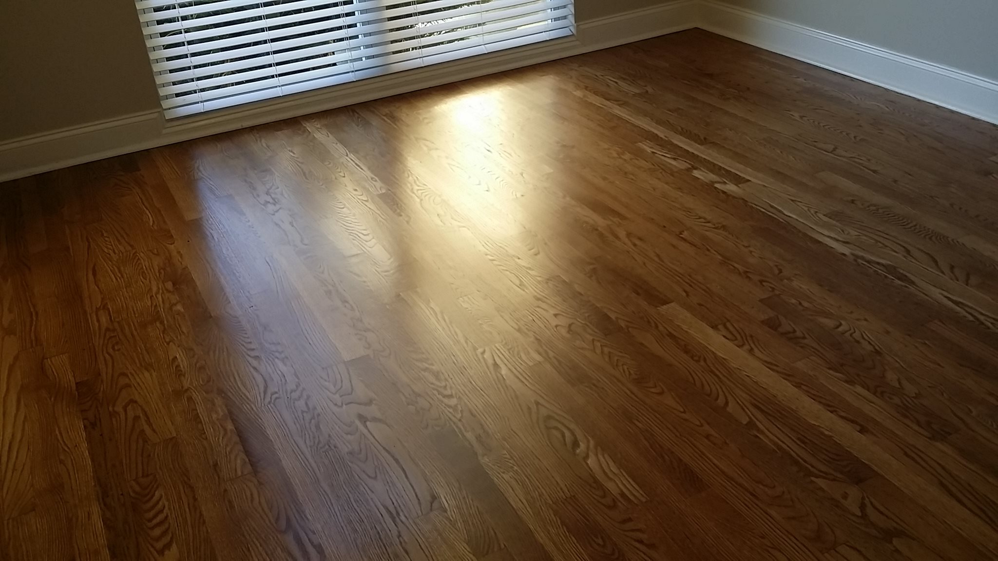 146 Mcclain Cir, Macon, GA 31216 photo 22