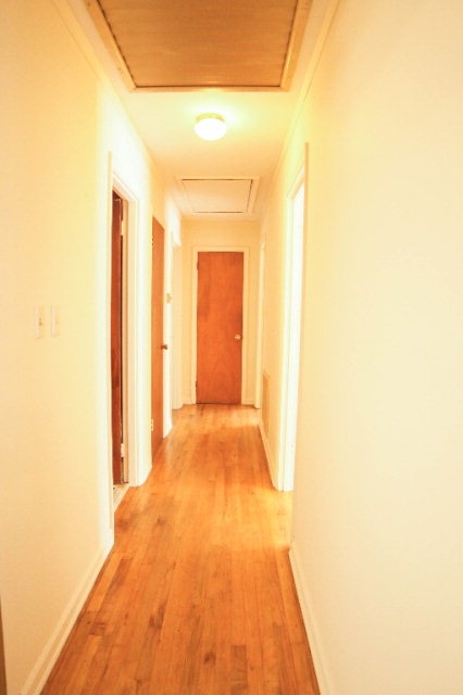 225 Jefferson River Rd, Athens, GA 30607 photo 8