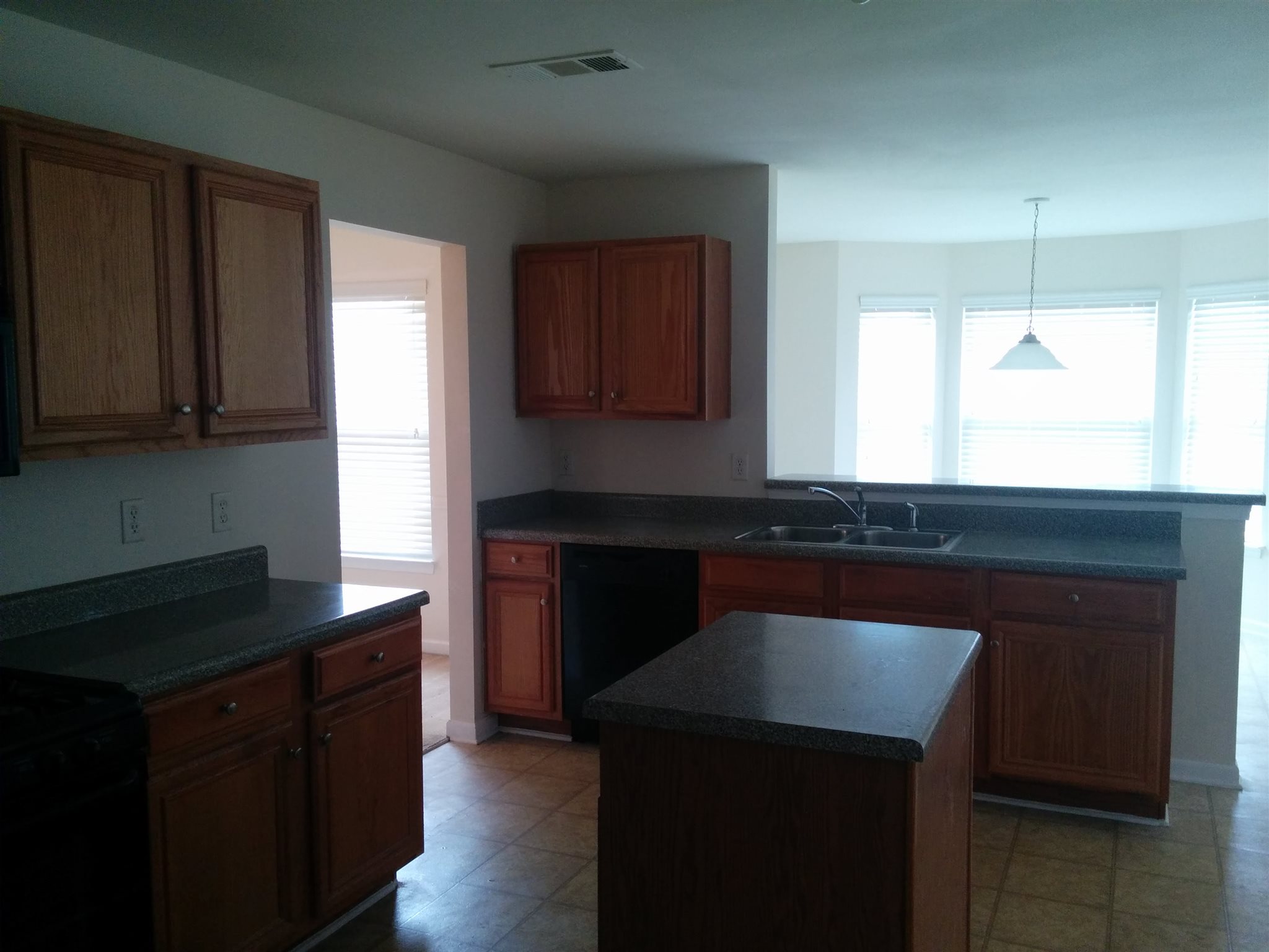 1966 Bernie Way, Hampton, GA 30228 photo 4