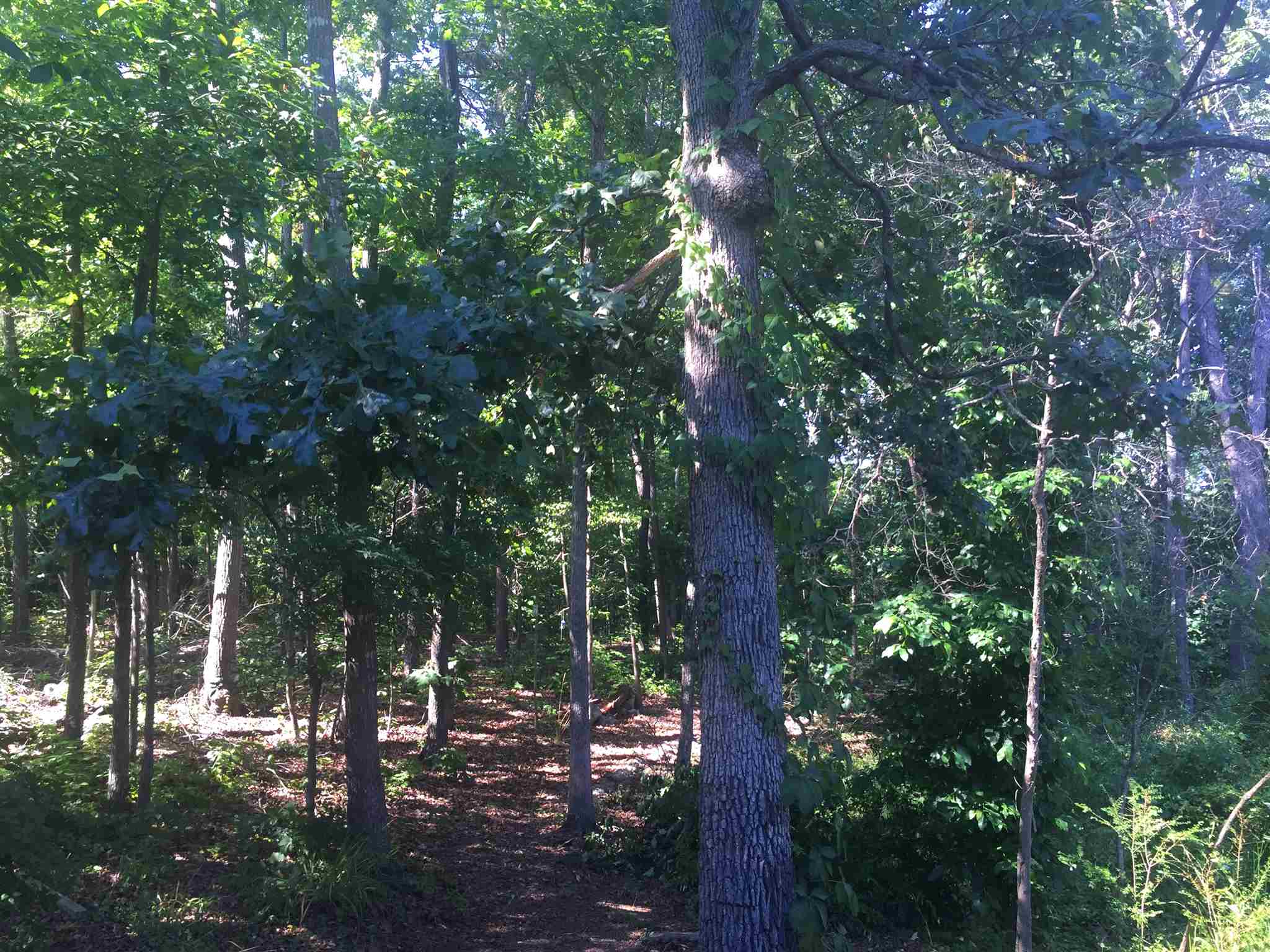 188 E Second St, Lindale, GA 30147 photo 2