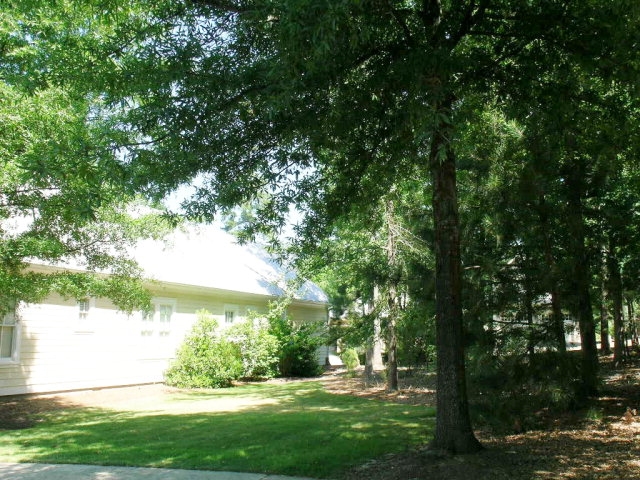 4 Royal Oak Dr, Athens, GA 30607 photo 32