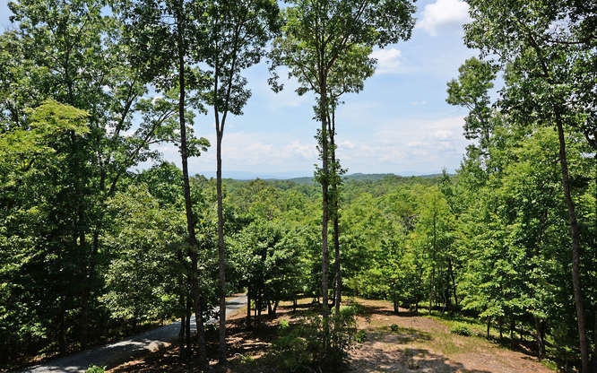 165 Folklore Ct, Morganton, GA 30560 photo 5