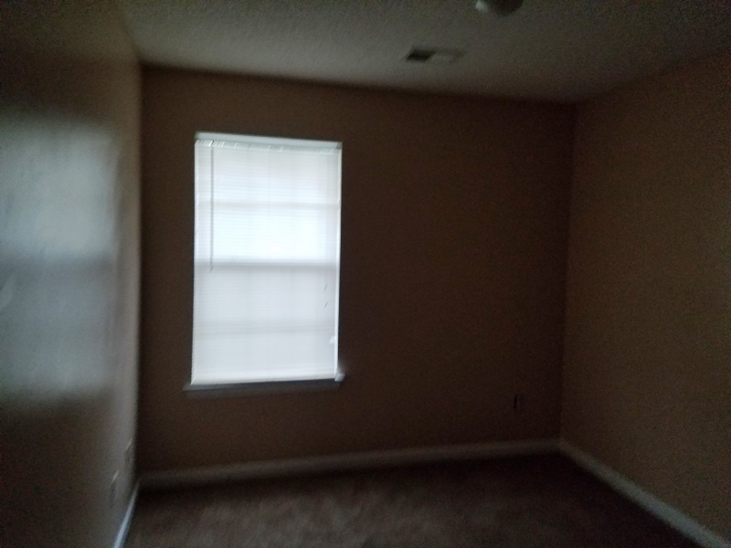 2329 Nicole Dr, Hampton, GA 30228 photo 18