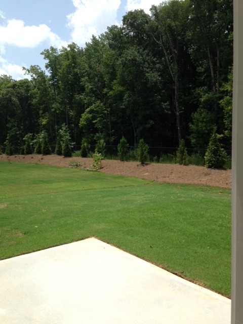 2870 Thistle Trl, Suwanee, GA 30024 photo 25