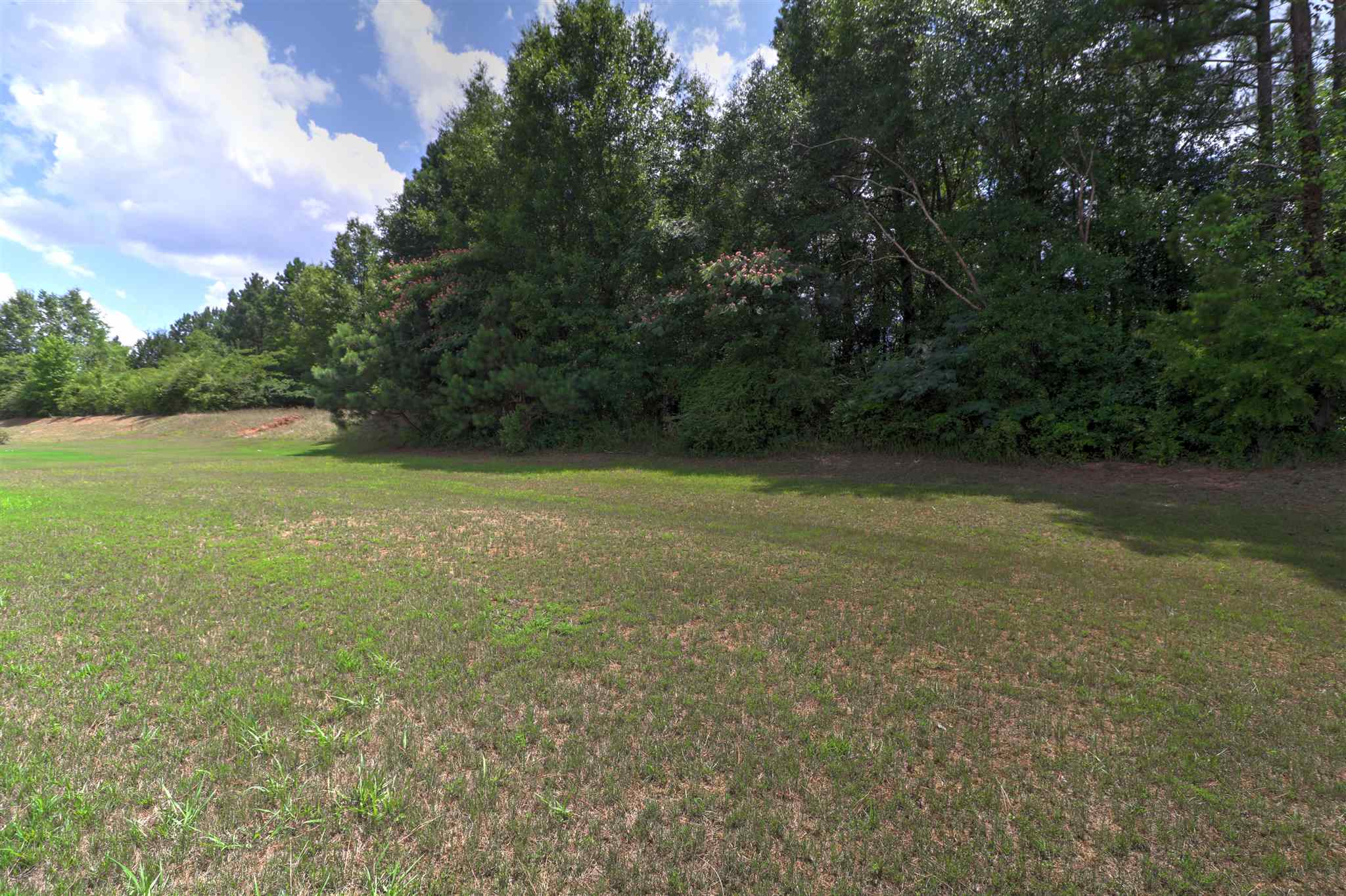 41 Windpher Rdg, Hampton, GA 30228 photo 28