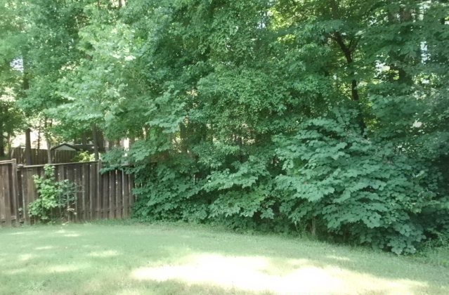 48 Windcrest Ter, Covington, GA 30016 photo 13