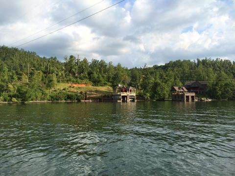 311 E Wildcat Rd, Clarkesville, GA 30523 photo 3