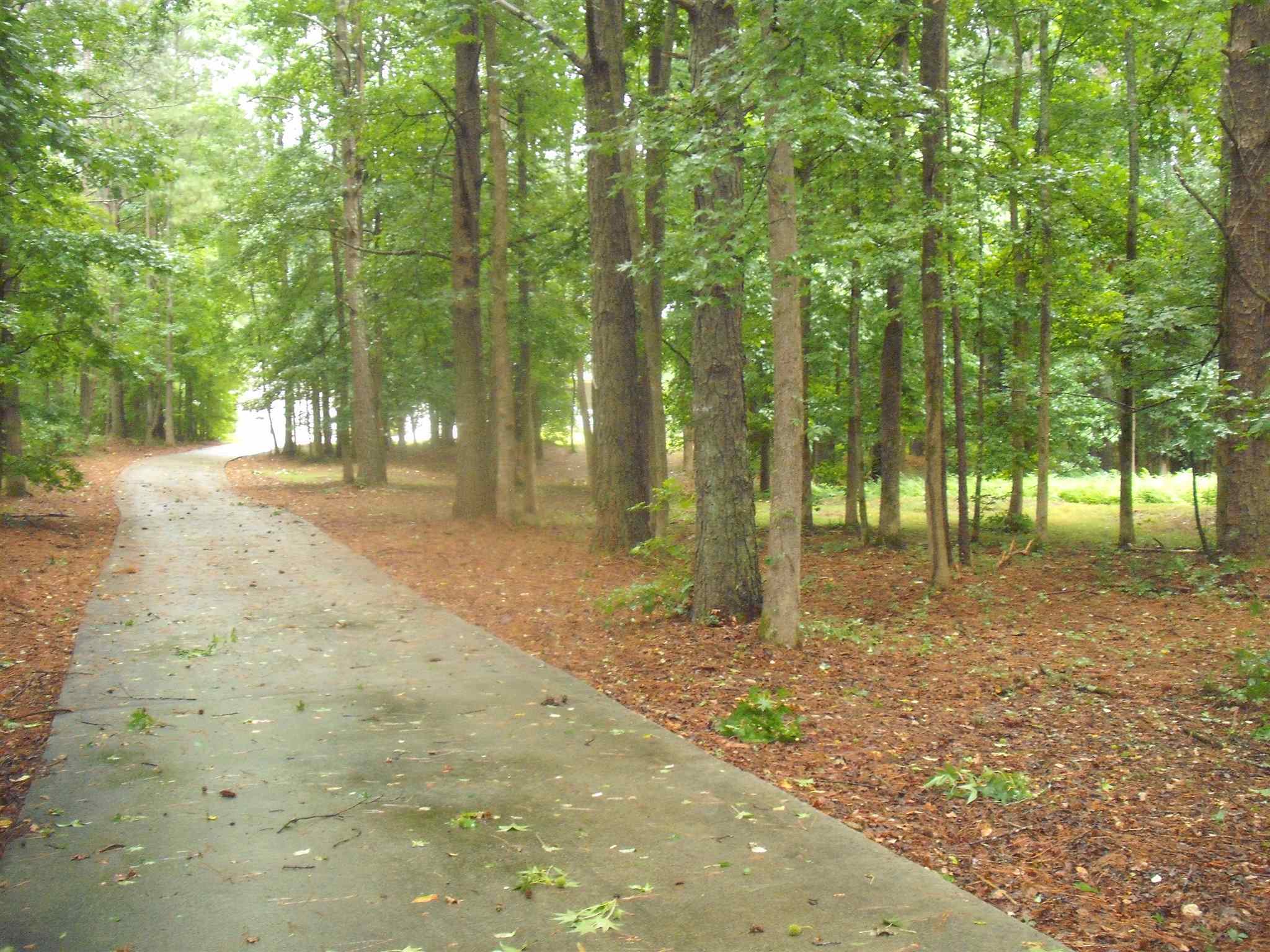 205 Deep Step Rd, Covington, GA 30014 photo 2