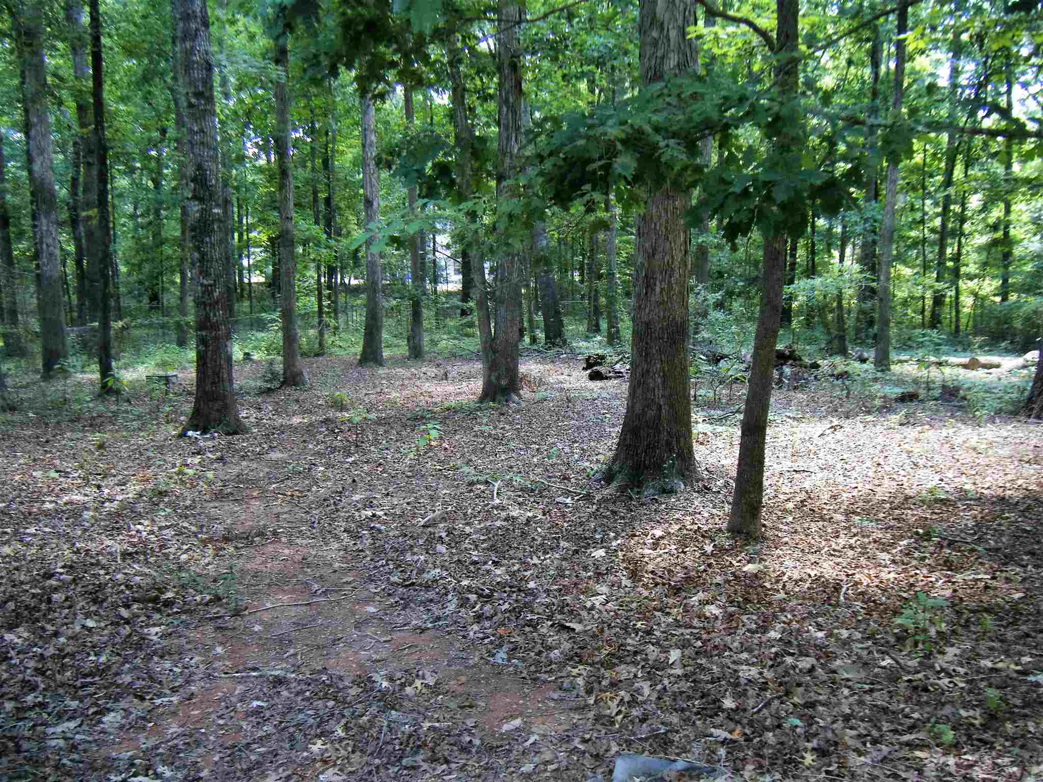 2350 Matthew Ct, Monroe, GA 30655 photo 20
