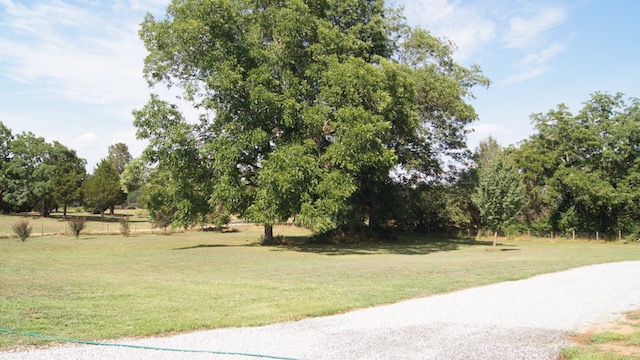 291 Dickenson, Williamson, GA 30292 photo 3
