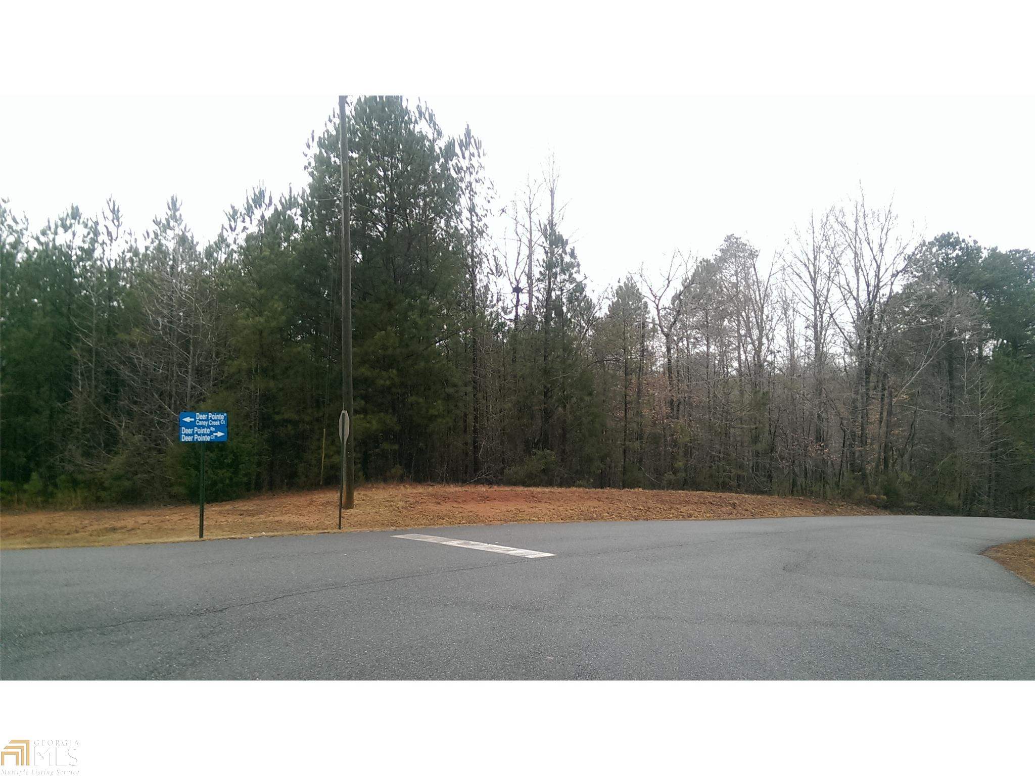 9 Deer Pointe Run, Lagrange, GA 30240 photo 3