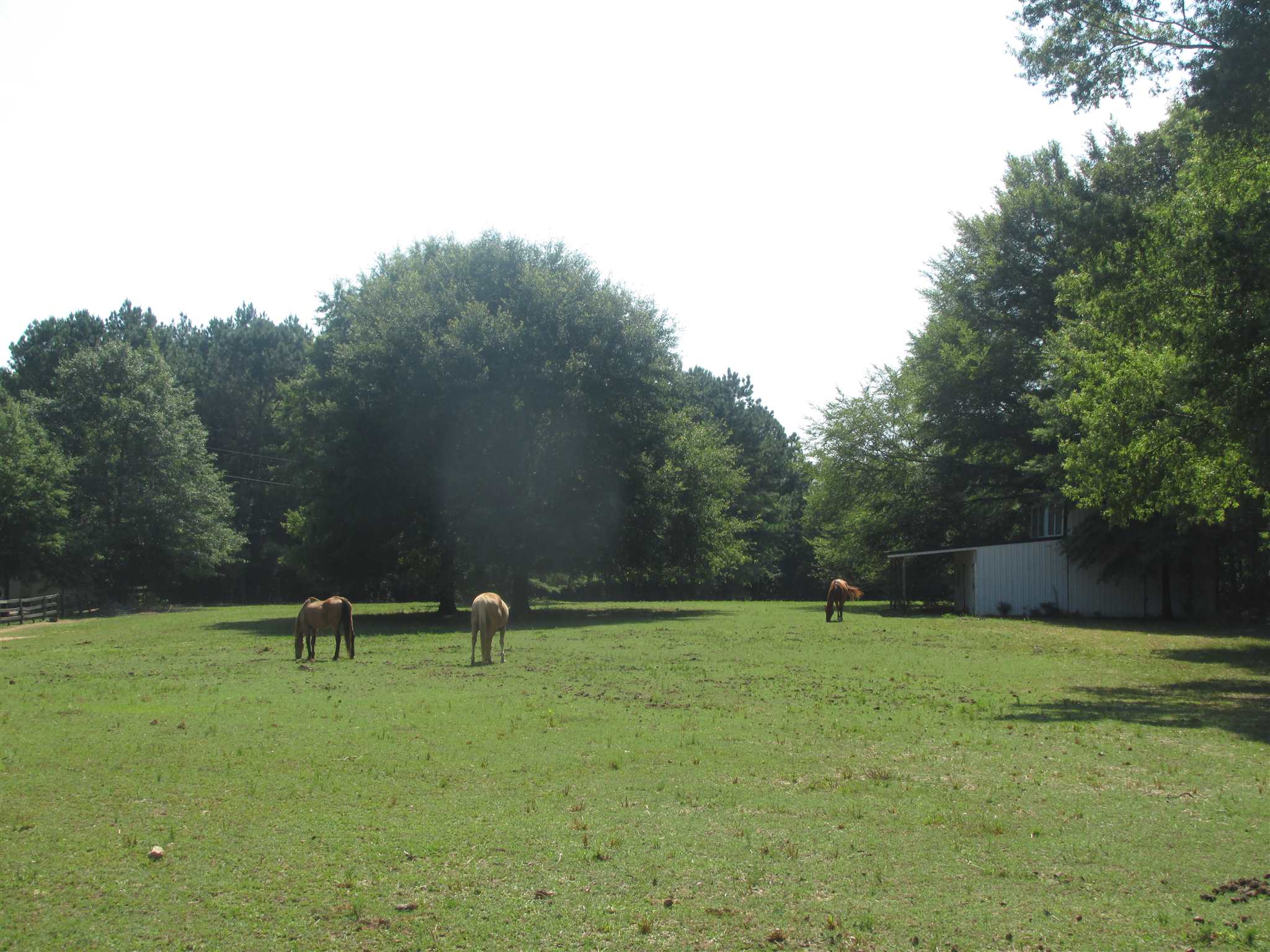 2834 County Line Rd, Covington, GA 30014 photo 5