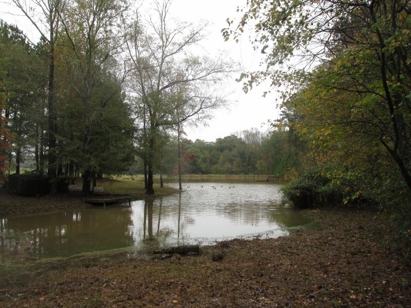 2834 County Line Rd, Covington, GA 30014 photo 6