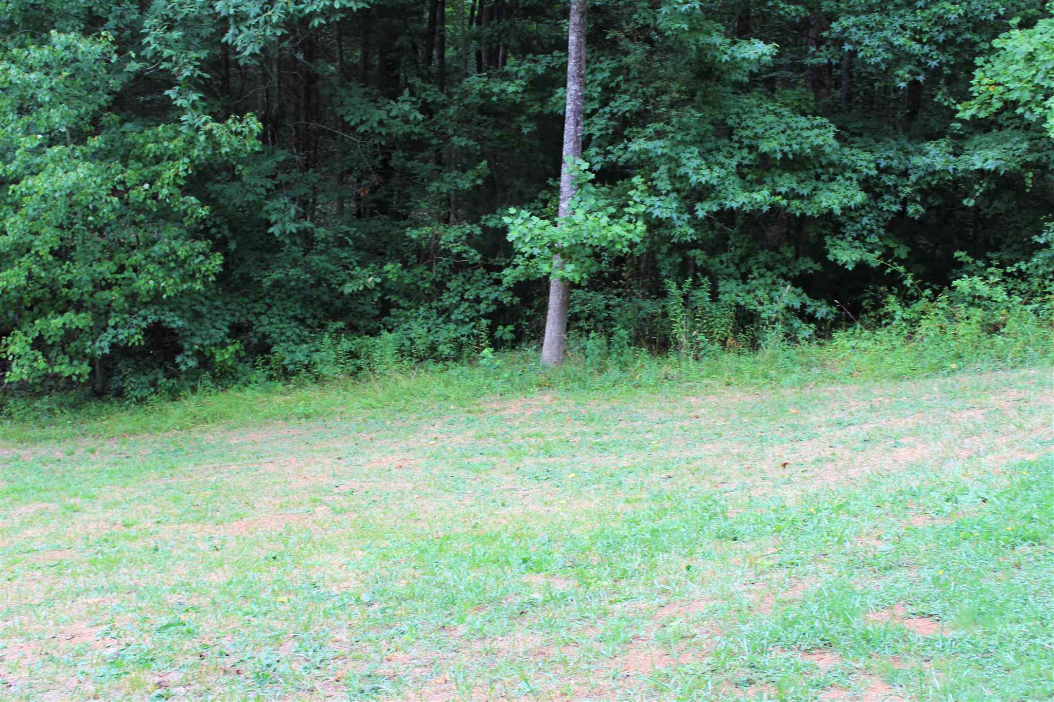 274 Fox Rd, Carnesville, GA 30521 photo 3