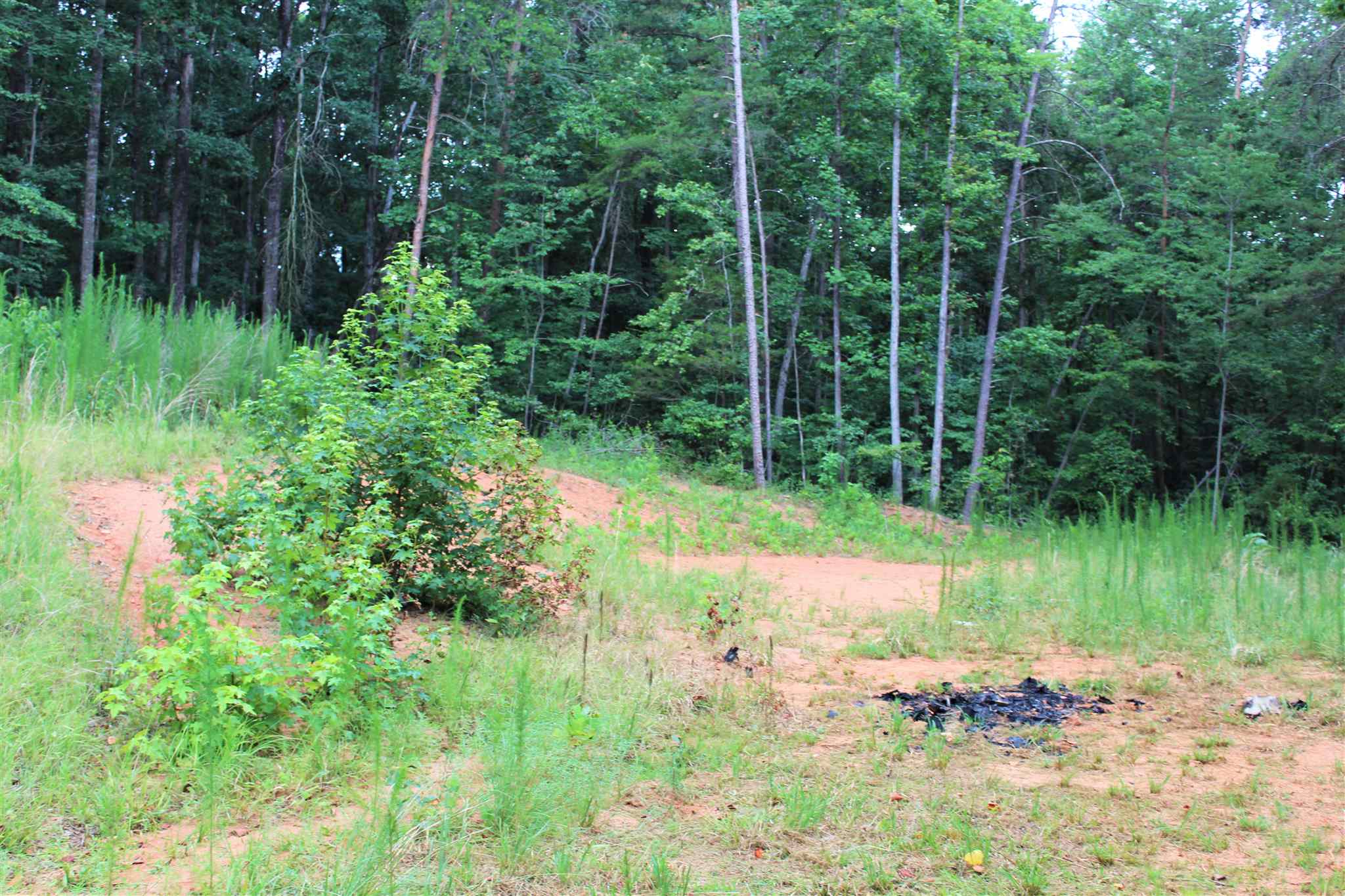 274 Fox Rd, Carnesville, GA 30521 photo 5