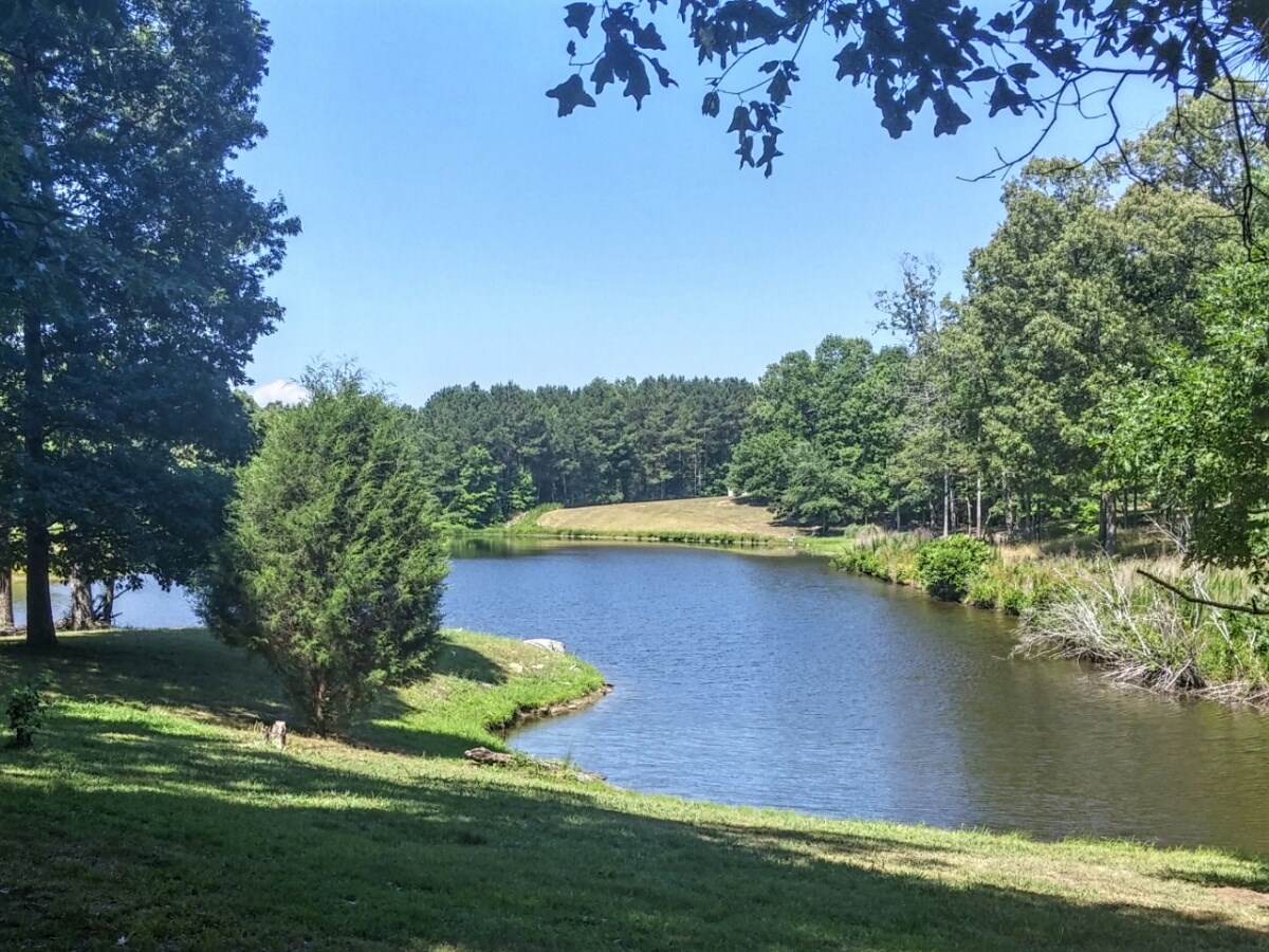 2135 White Rd, White, GA 30184 photo 1