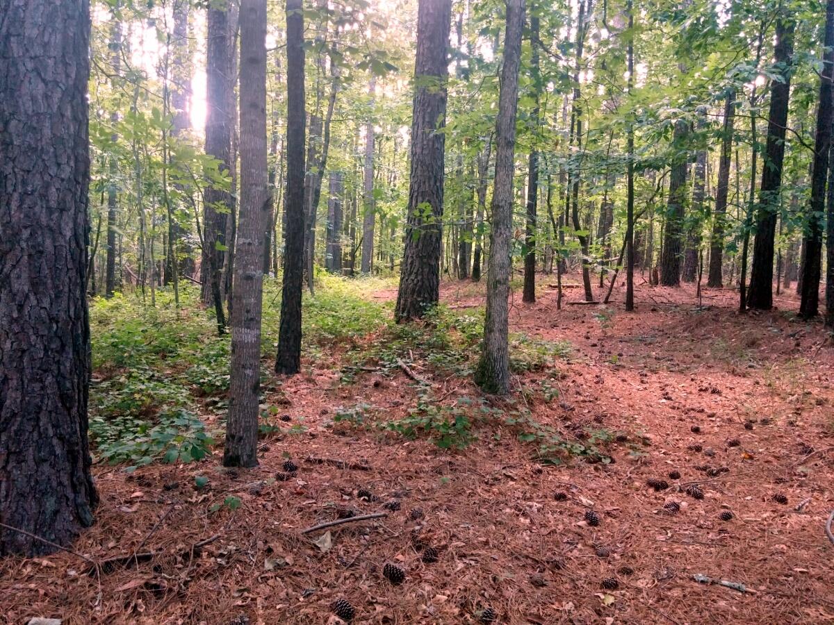 2135 White Rd, White, GA 30184 photo 7