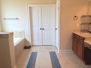 157 Traditions Ln, Hampton, GA 30228 photo 13