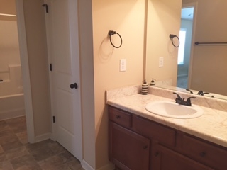 157 Traditions Ln, Hampton, GA 30228 photo 24