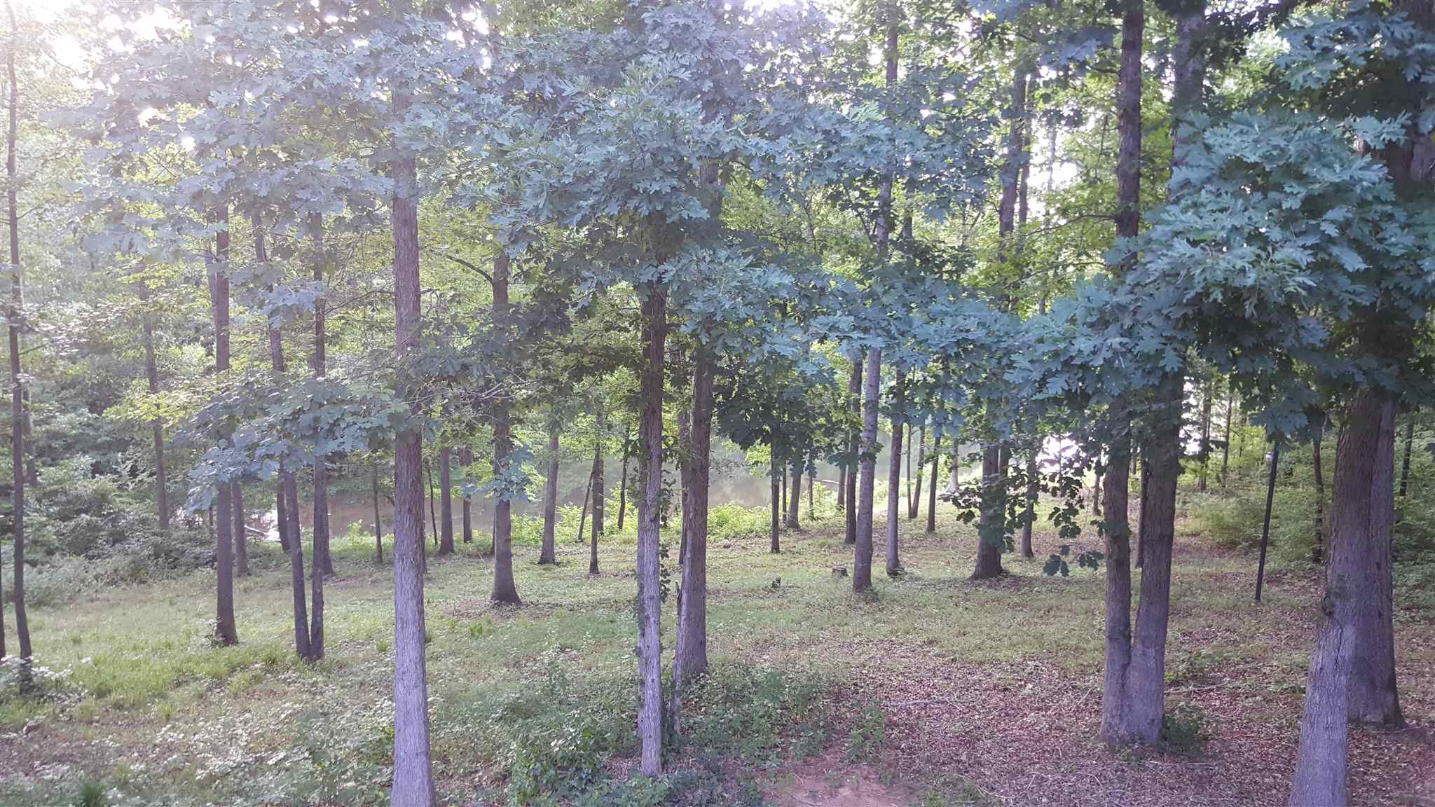 120 Deep Step Rd, Covington, GA 30014 photo 30