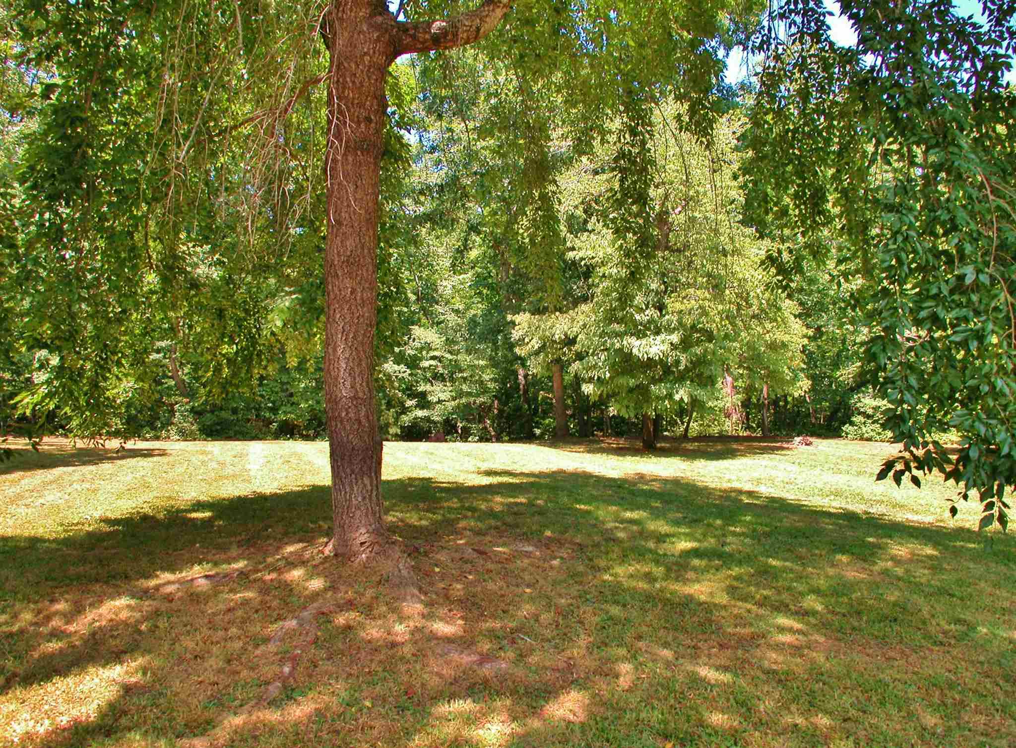 245 Bent Oak Dr, Cornelia, GA 30531 photo 32