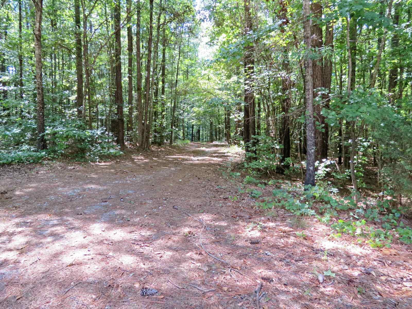 412 Walthall Rd, Jackson, GA 30233 photo 27