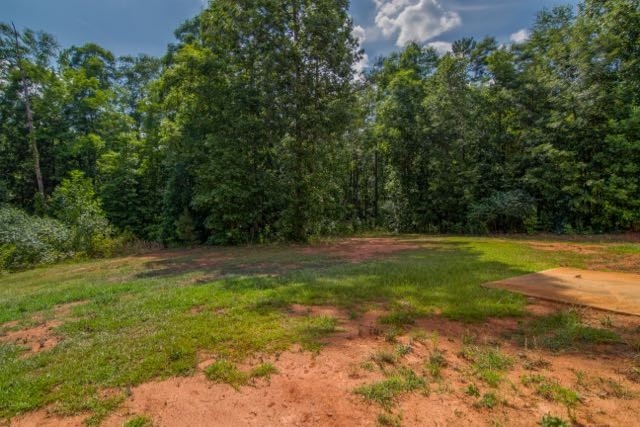 275 Lamar Ln, Covington, GA 30016 photo 25
