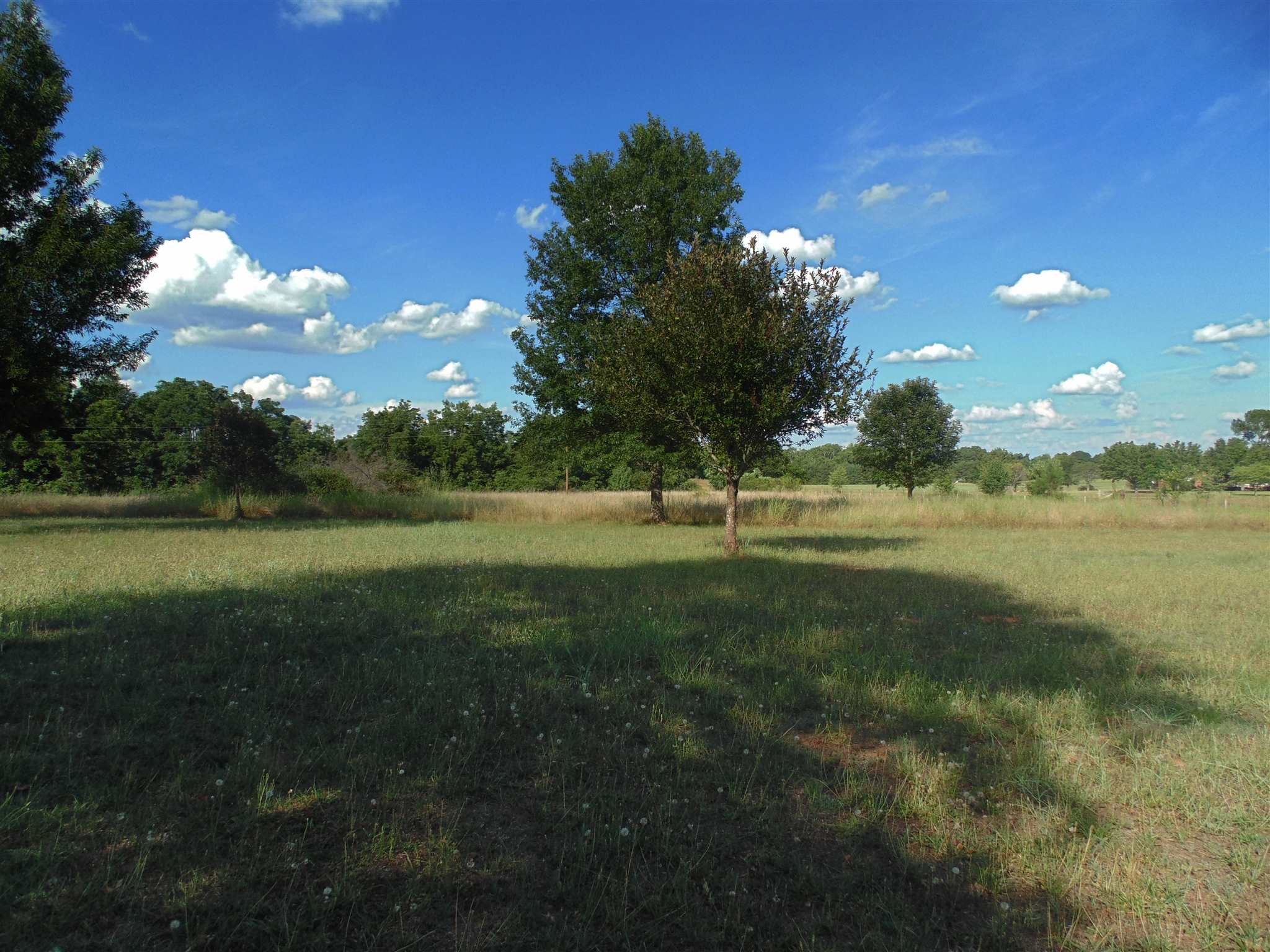 15 Mt Mariah Rd, Covington, GA 30014 photo 7