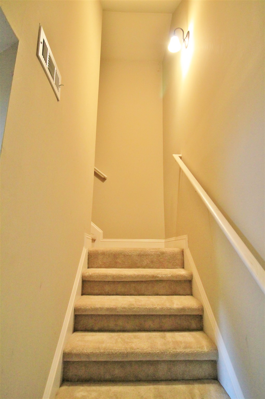 1009 Pampas Way, Hampton, GA 30228 photo 29
