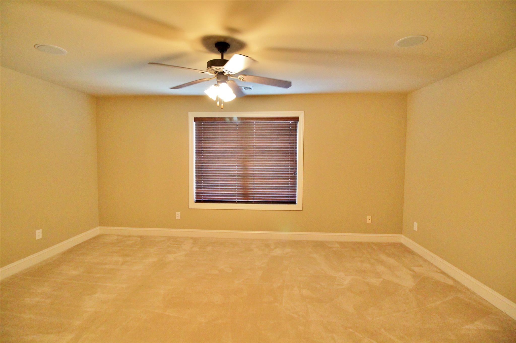 1009 Pampas Way, Hampton, GA 30228 photo 30
