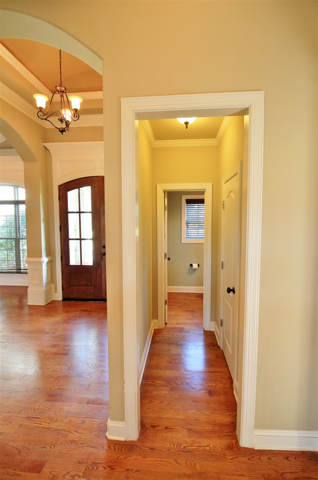1009 Pampas Way, Hampton, GA 30228 photo 8