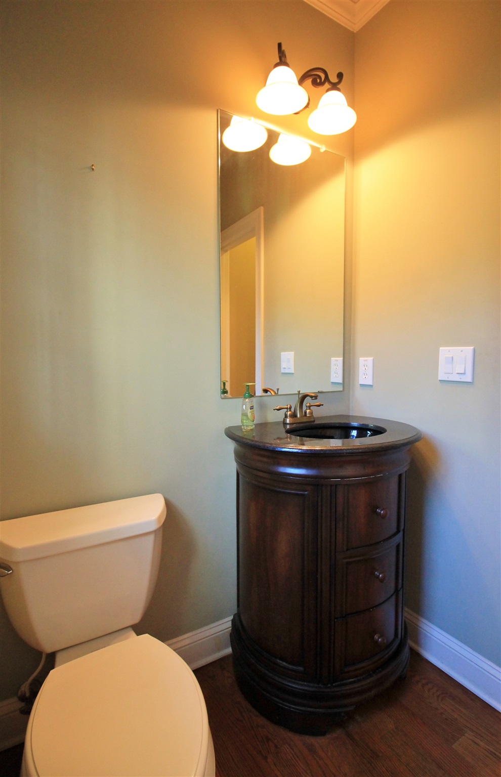 1009 Pampas Way, Hampton, GA 30228 photo 9