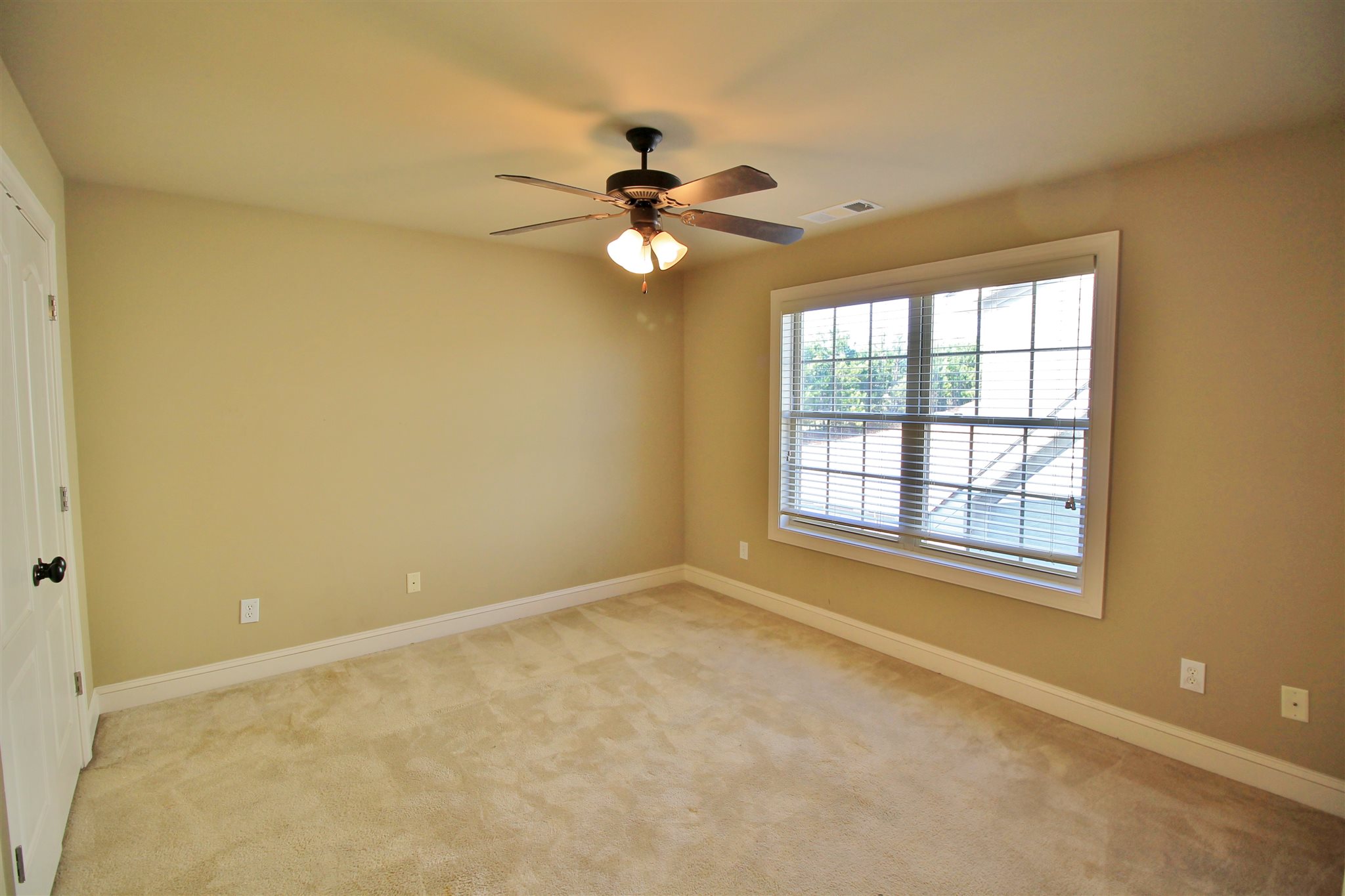1009 Pampas Way, Hampton, GA 30228 photo 25