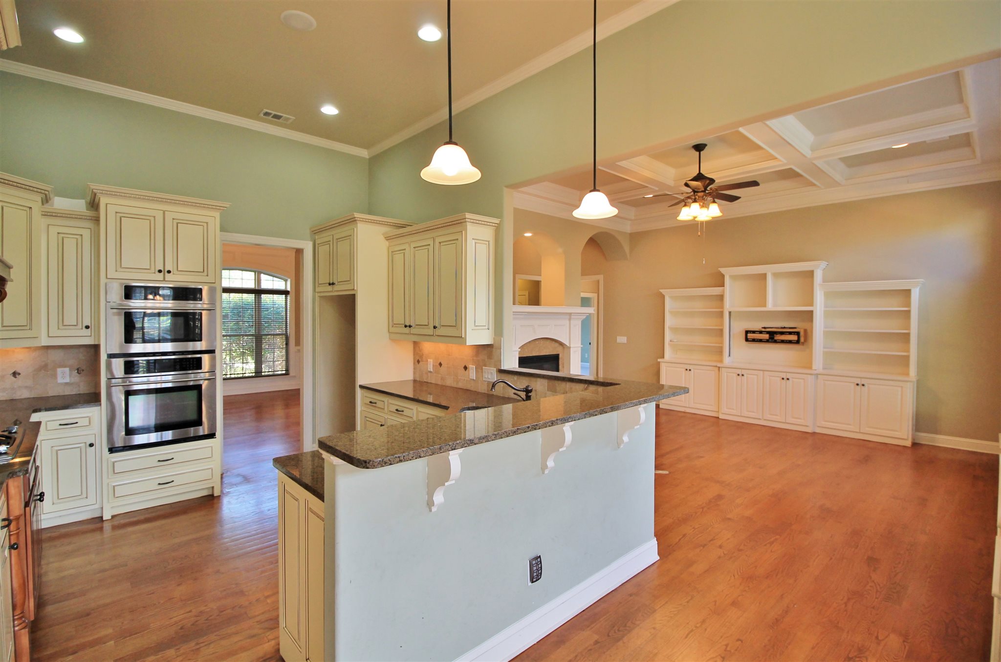 1009 Pampas Way, Hampton, GA 30228 photo 6