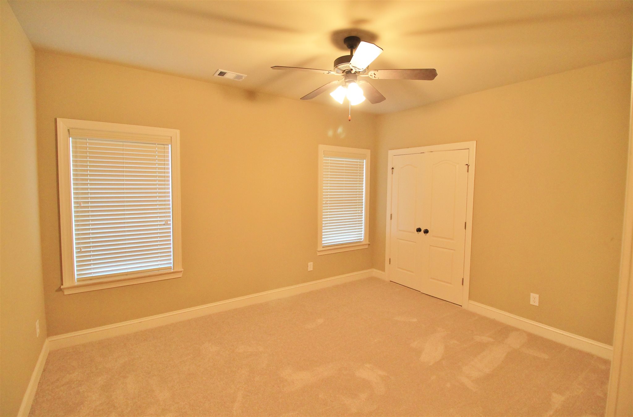 1009 Pampas Way, Hampton, GA 30228 photo 20