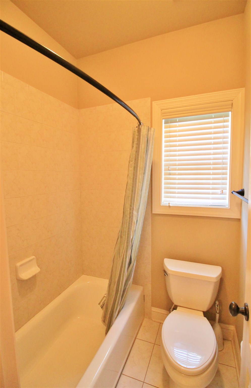 1009 Pampas Way, Hampton, GA 30228 photo 19