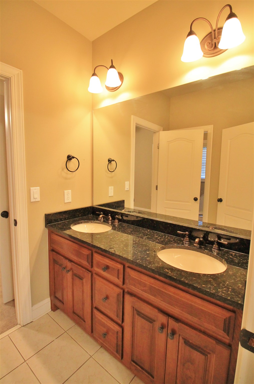 1009 Pampas Way, Hampton, GA 30228 photo 18