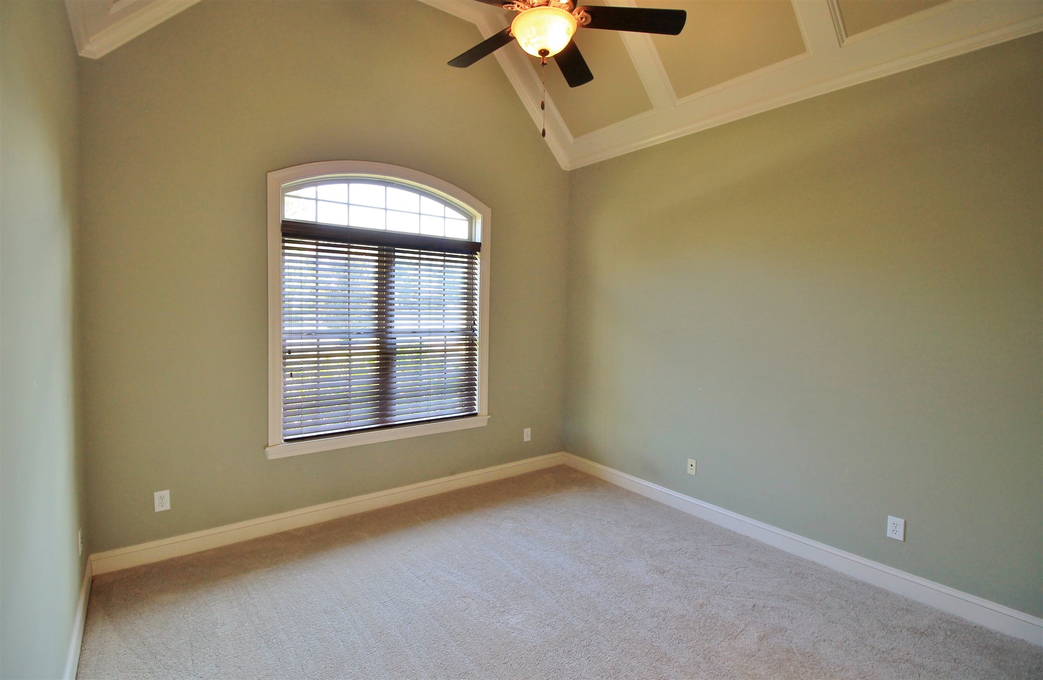 1009 Pampas Way, Hampton, GA 30228 photo 10