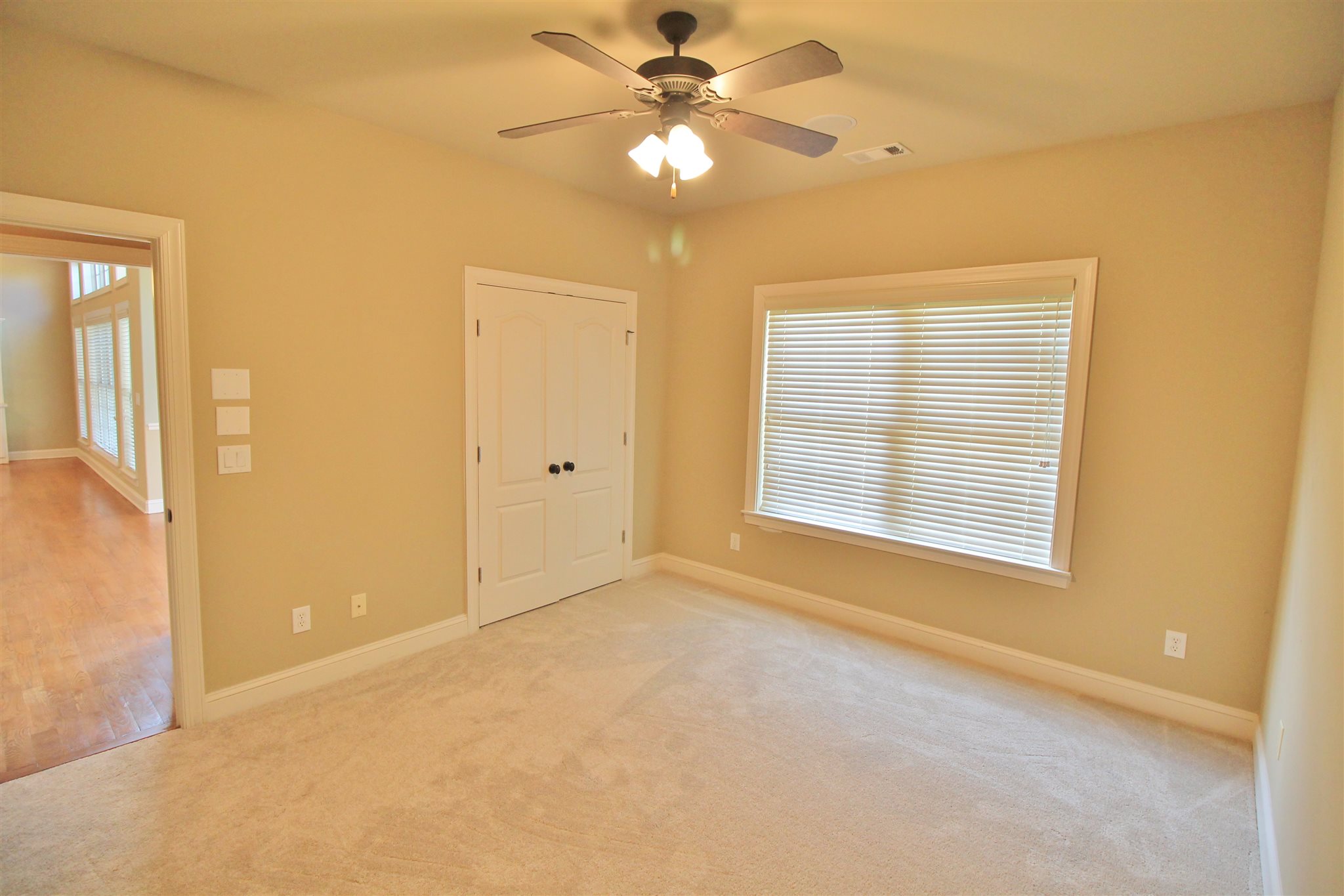 1009 Pampas Way, Hampton, GA 30228 photo 17
