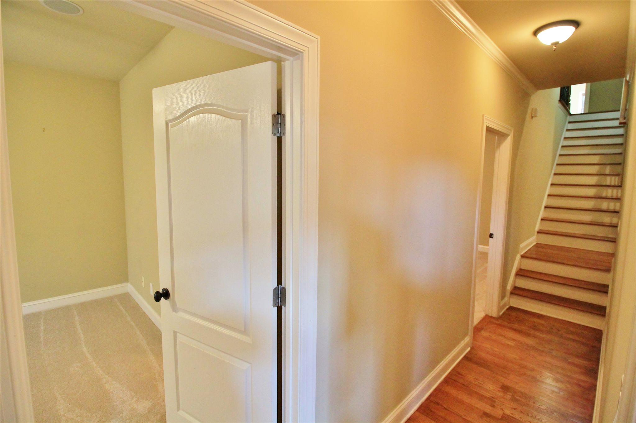 1009 Pampas Way, Hampton, GA 30228 photo 16