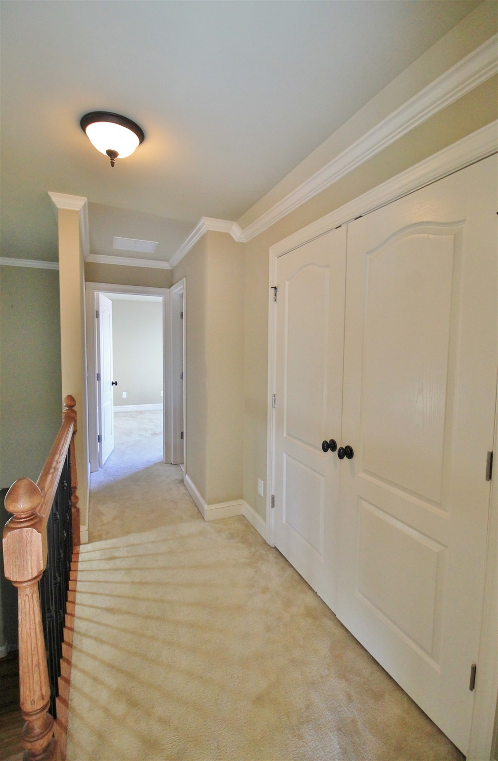 1009 Pampas Way, Hampton, GA 30228 photo 24