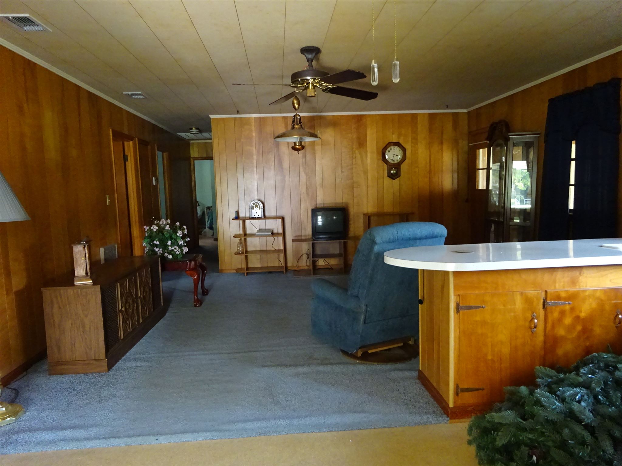 102 Cedar Ave, Claxton, GA 30417 photo 2