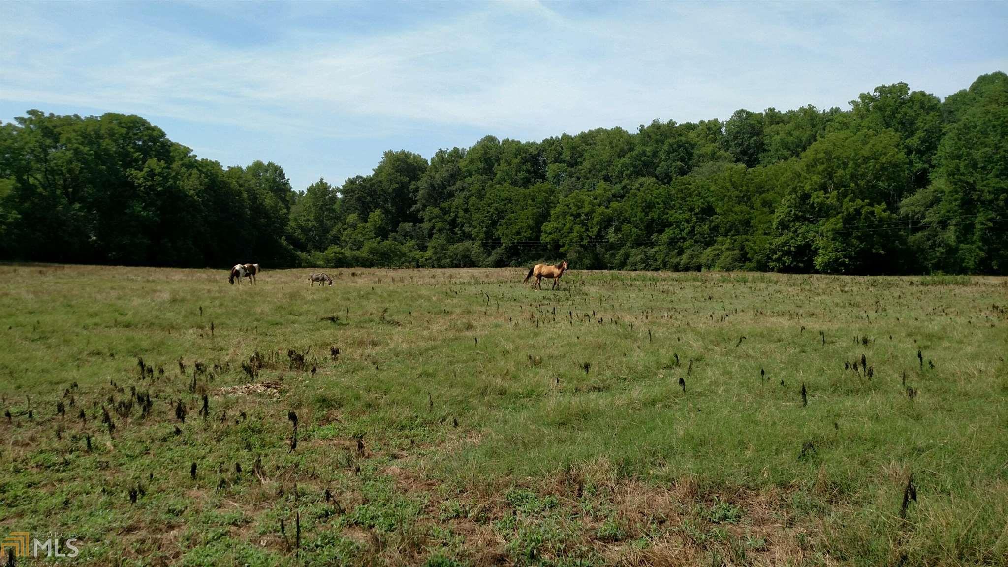 623 Garrison Rd, Cornelia, GA 30531 photo 23