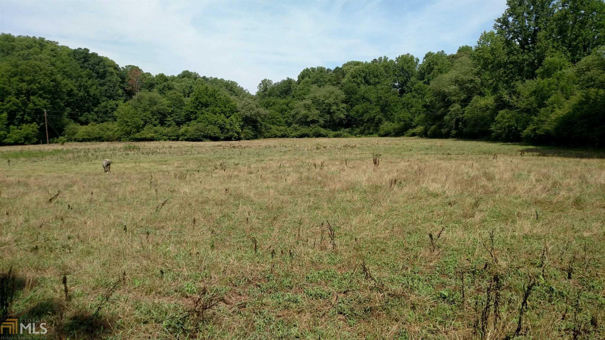 623 Garrison Rd, Cornelia, GA 30531 photo 25