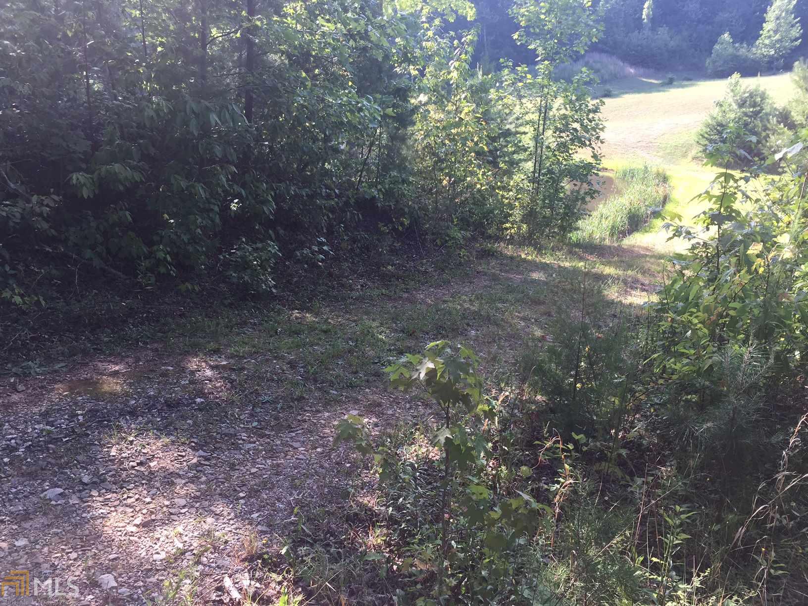 196 Laurel Rdg, Baldwin, GA 30511 photo 2