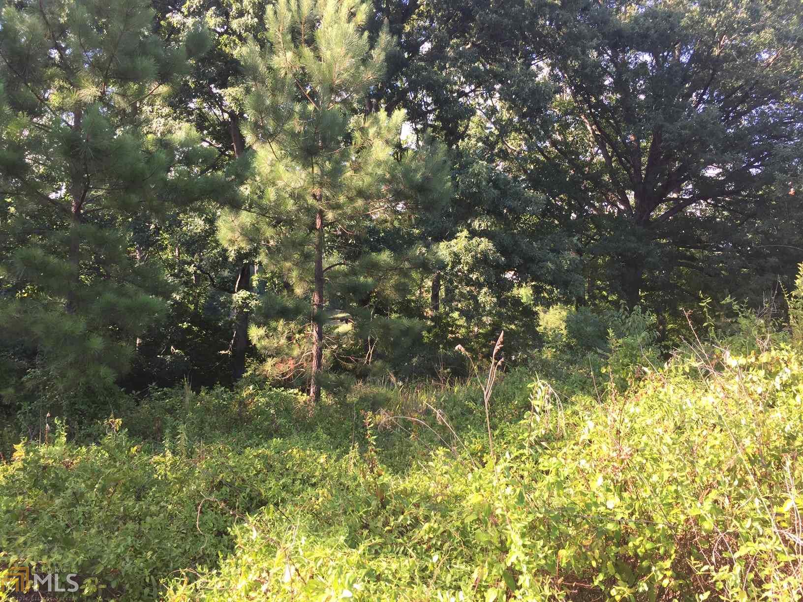 196 Laurel Rdg, Baldwin, GA 30511 photo 7