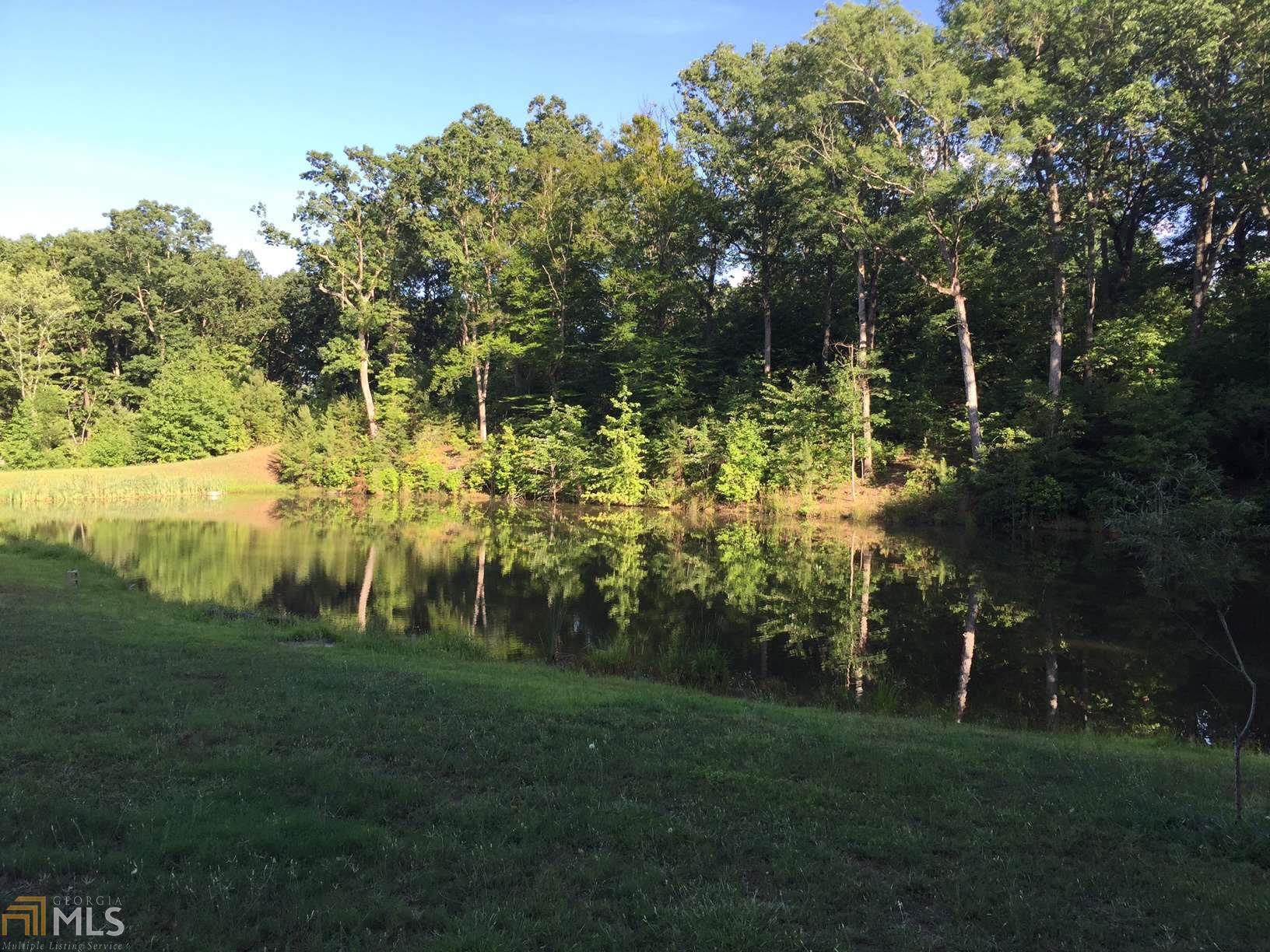 196 Laurel Rdg, Baldwin, GA 30511 photo 11
